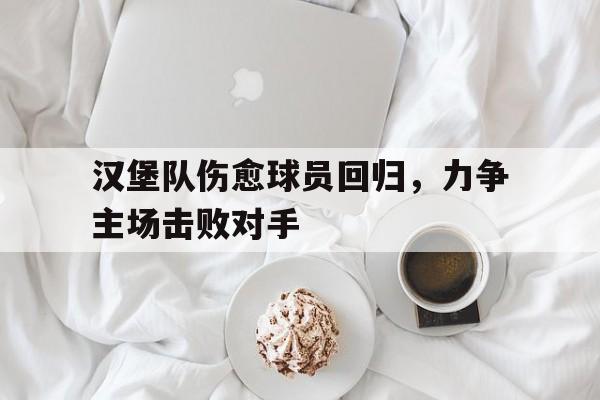 -汉堡队伤愈球员回归，力争主场击败对手
